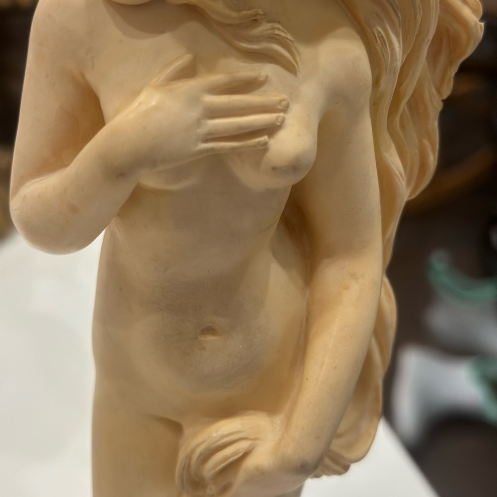 A. Santini Birth of Venus.